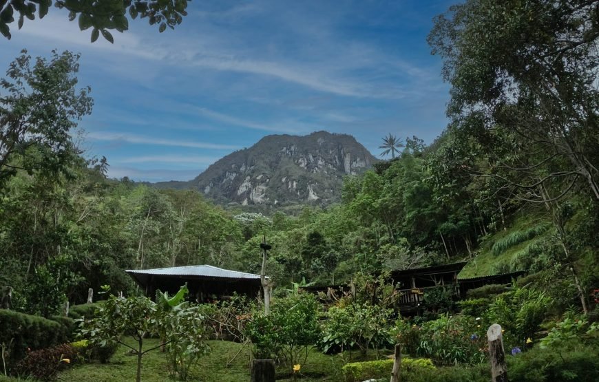 Hostal El Papiro Peñas