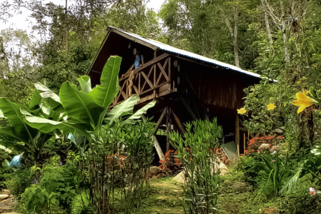 Hostal El Papiro Peñas