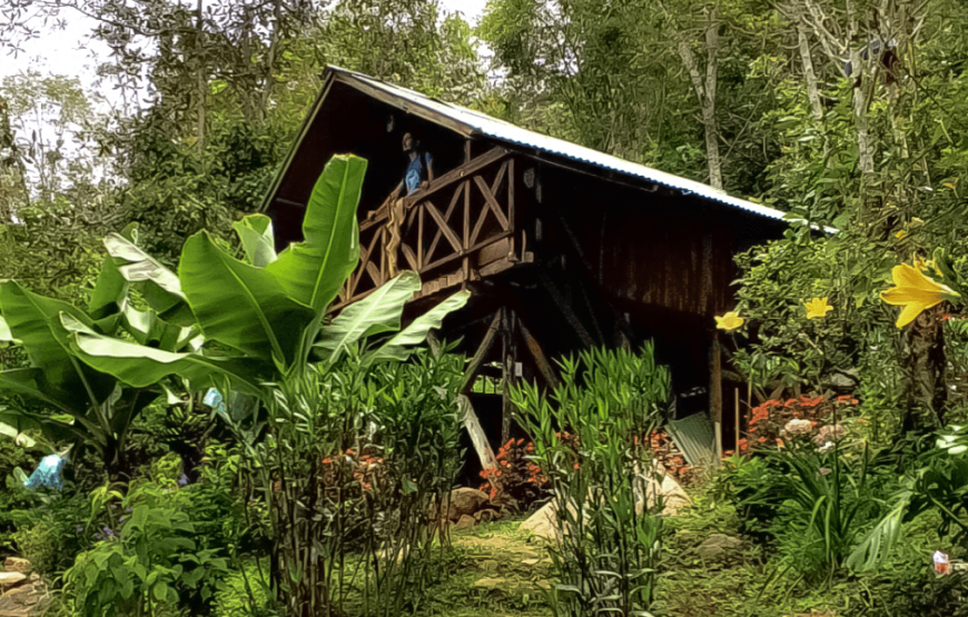 Hostal El Papiro Peñas