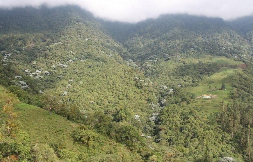 Cascadas Río Verde