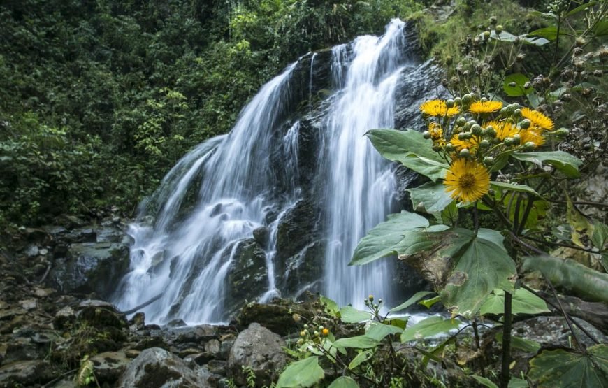 Cascadas Río Verde