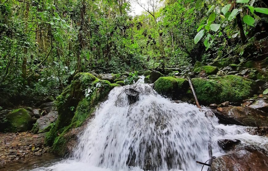 Cascadas Río Verde