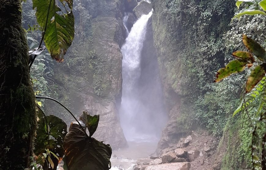 Cascadas Río Verde