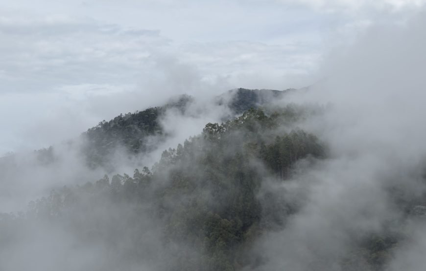 Finca Mirador La Laguna