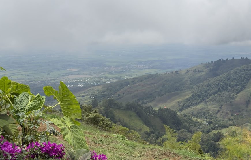 Finca Mirador La Laguna